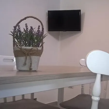 Monolocale Lavanda *